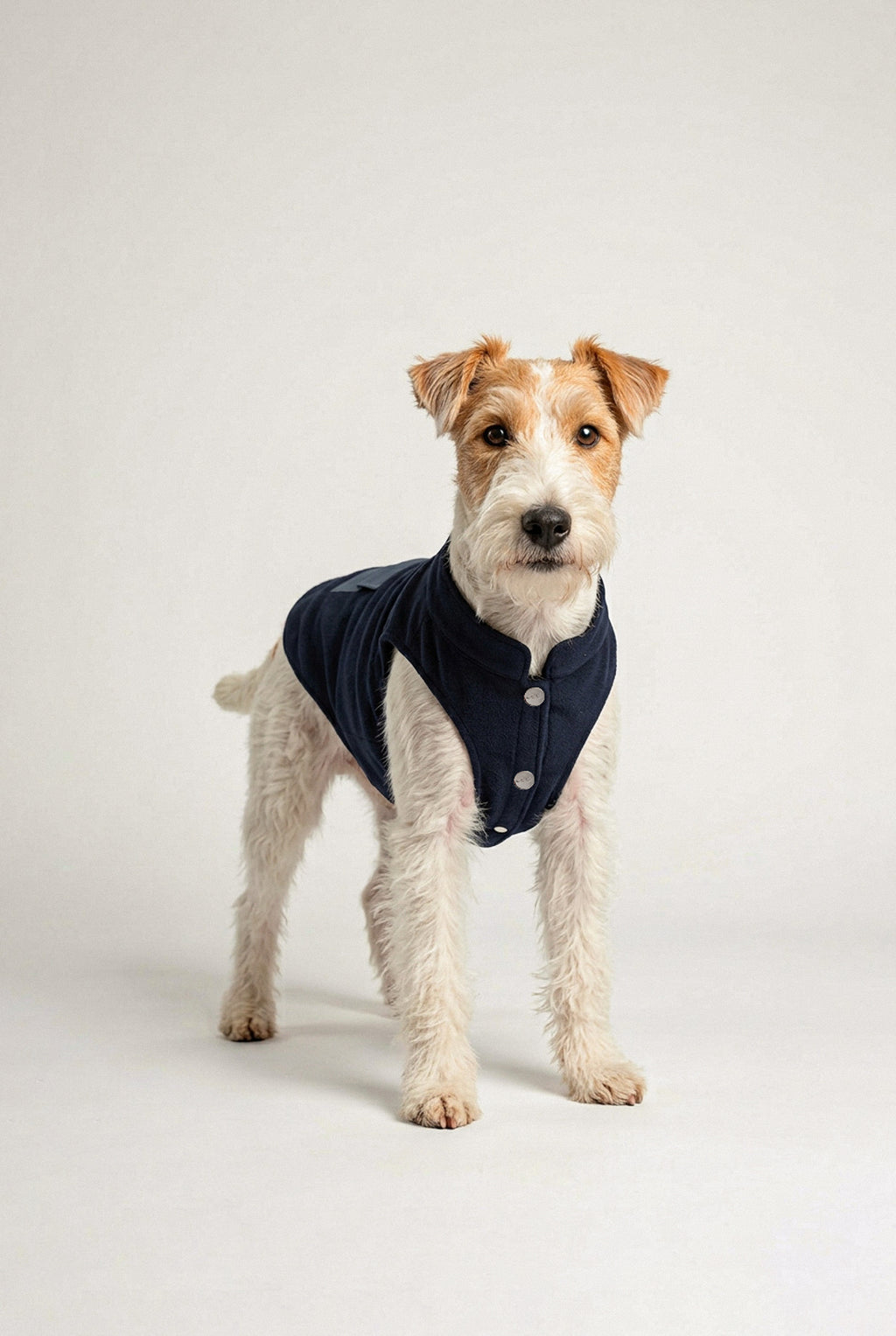 Bruno Cozy Köpek Polar Mont - Deep Navy