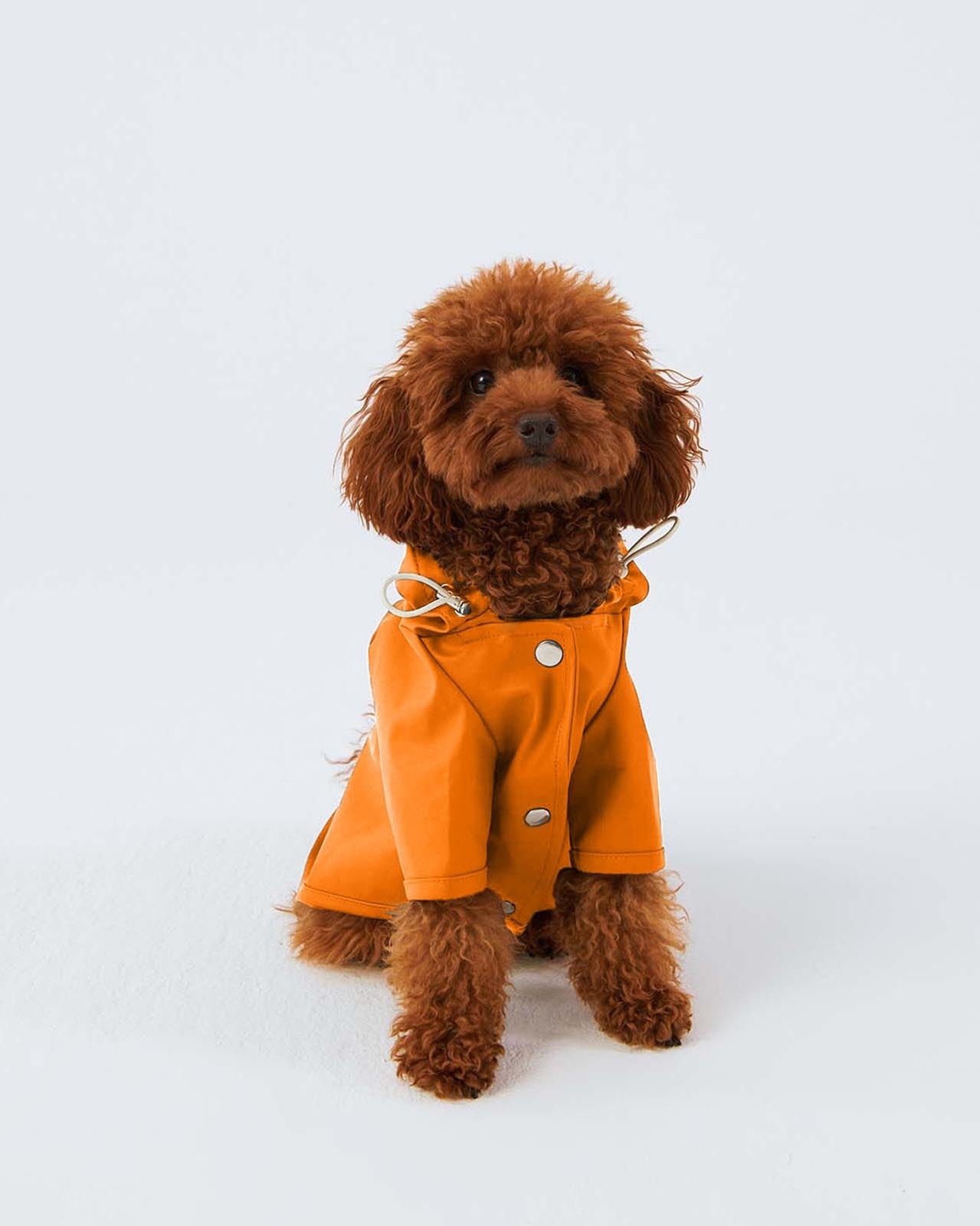 Dog Raincoat - Orange