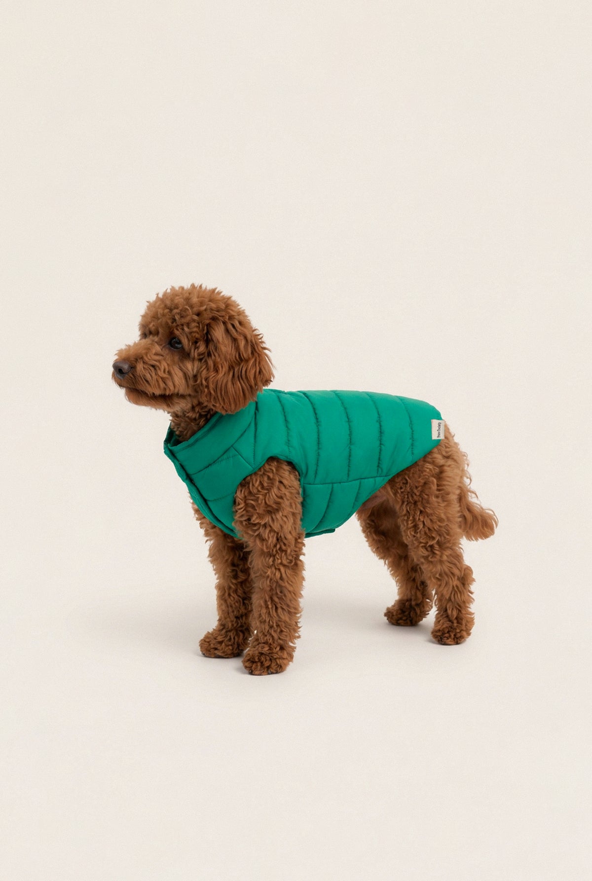Puffer Vest - Green