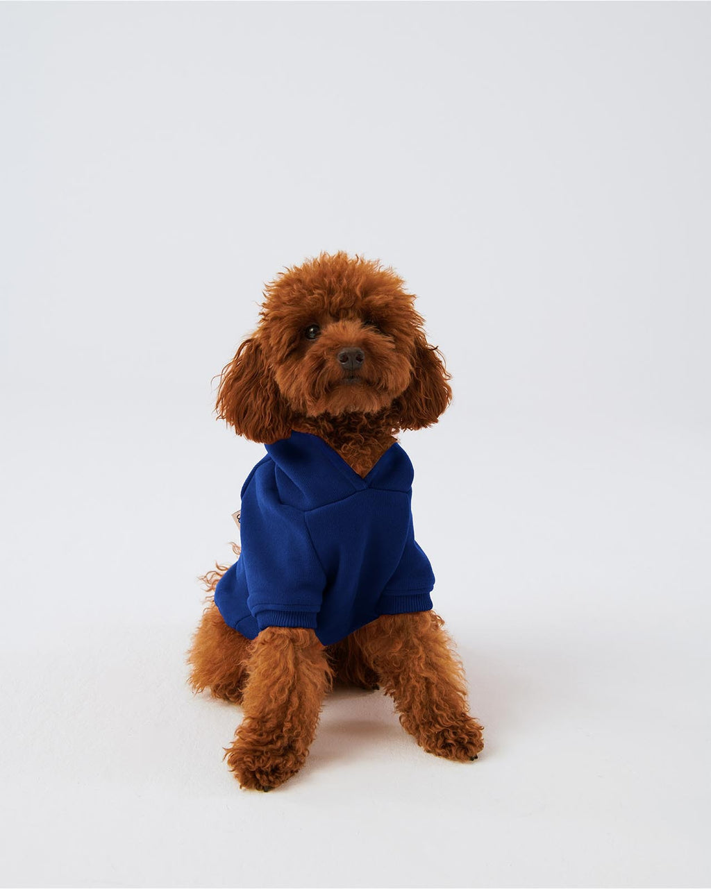 Matchy Hoodie - Navy Blue