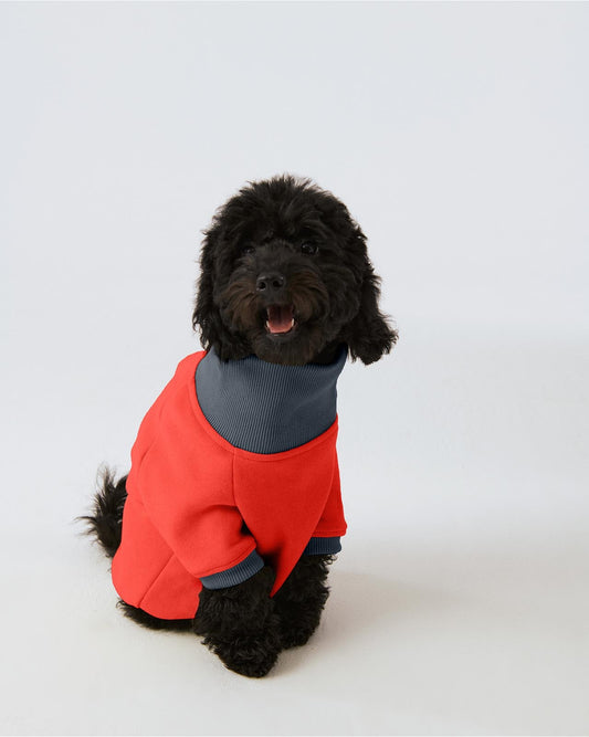 Köpek Sweatshirt - Açık Kırmızı/Ufuk Mavisi