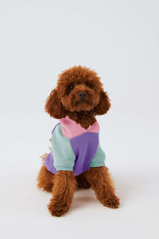 Köpek Hoodie - Lila/Mint/Bubblegum