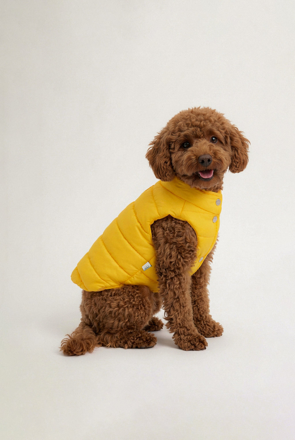 Bruno Classic Puffer Mont - Honey Yellow