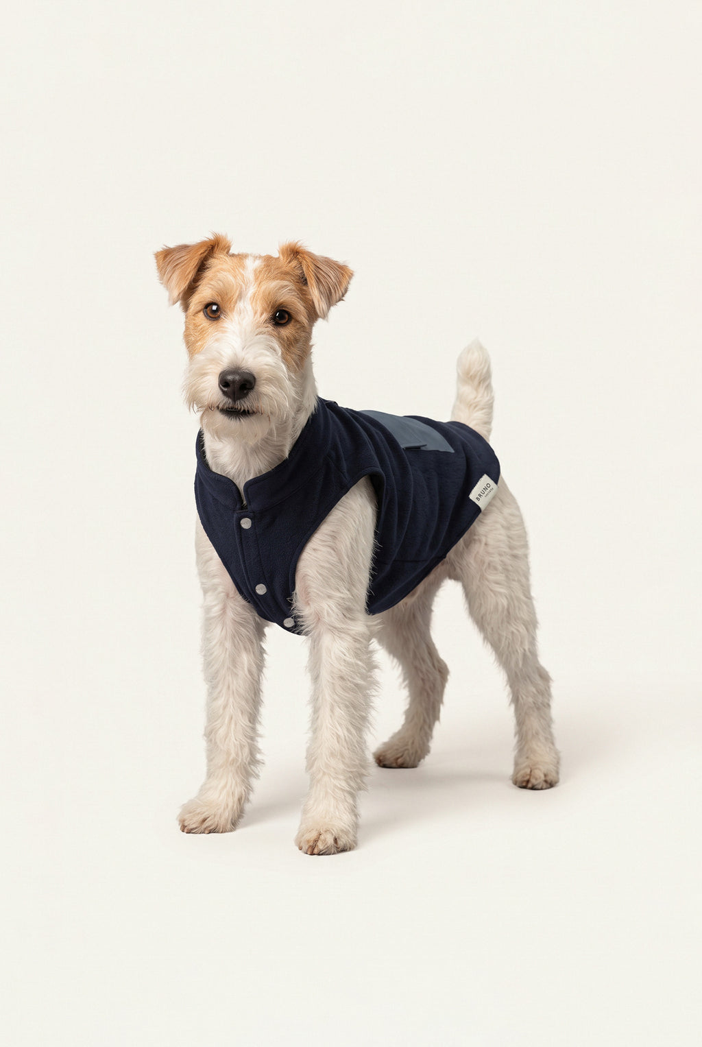 Bruno Cozy Köpek Polar Mont - Deep Navy