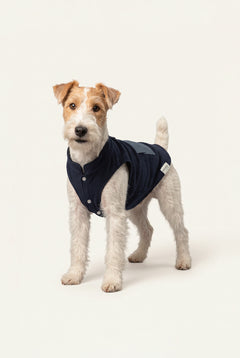 Bruno Cozy Köpek Polar Mont - Deep Navy