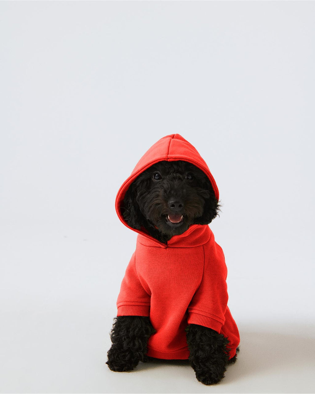Köpek Hoodie - Kiraz