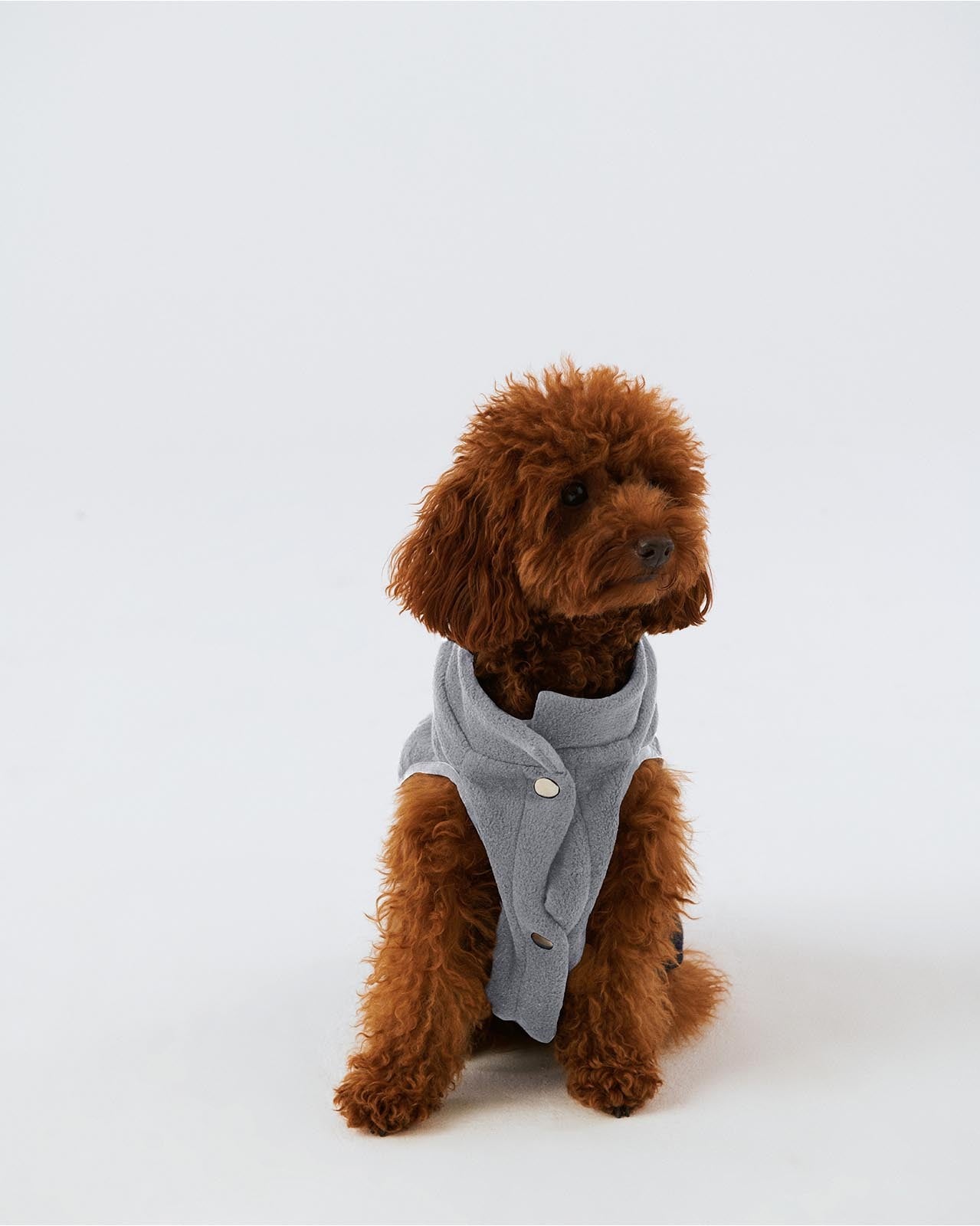 Bruno Cozy Köpek Polar Mont - Dove Gray