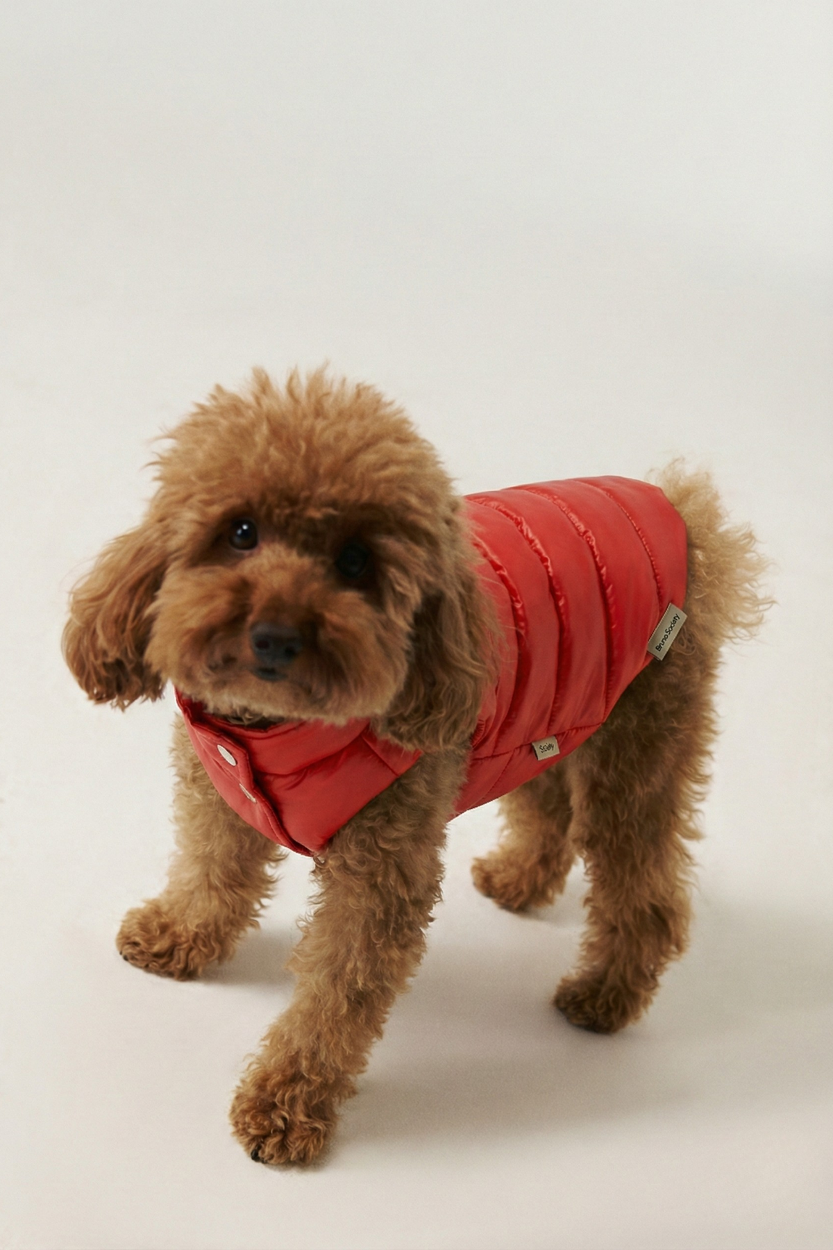 Bruno Classic Puffer Mont - Cherry Red