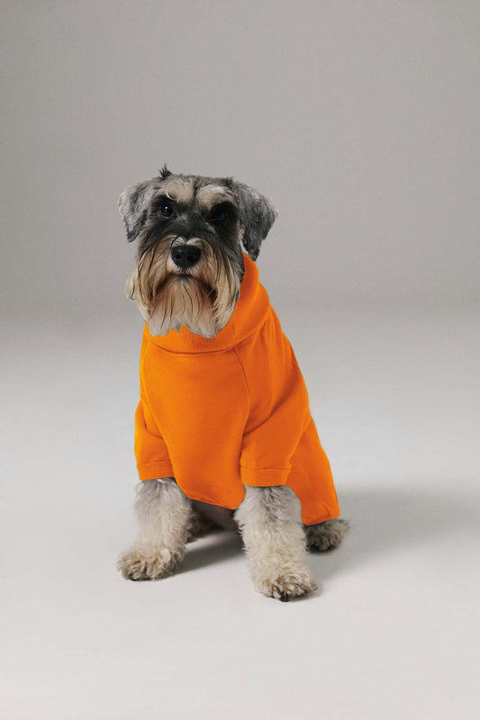 Köpek Hoodie - Turuncu
