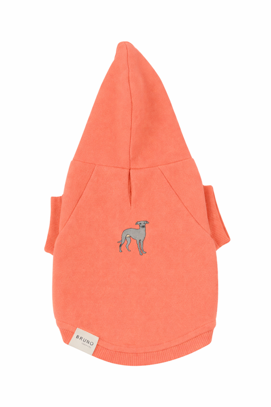 Poodle Dog Hoodie - Gray