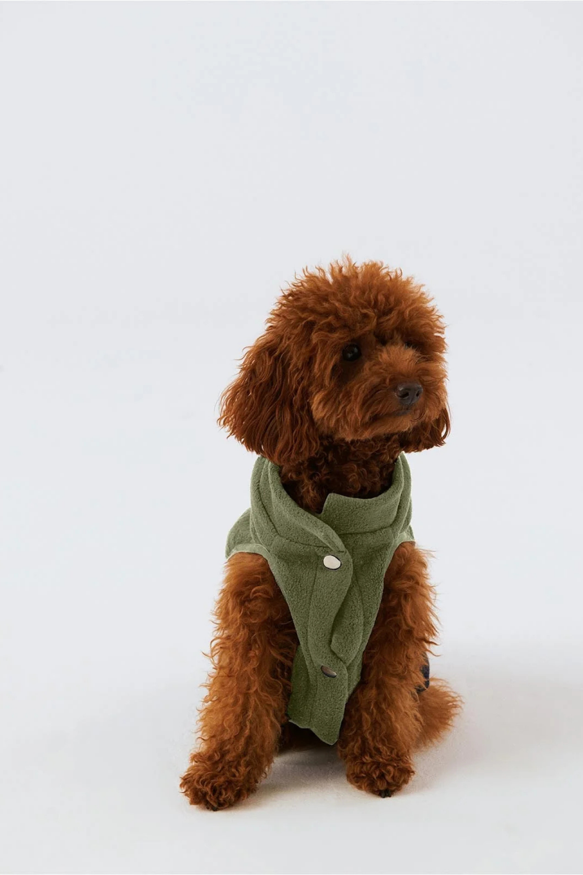 Bruno Cozy Köpek Polar Mont - Sage Green