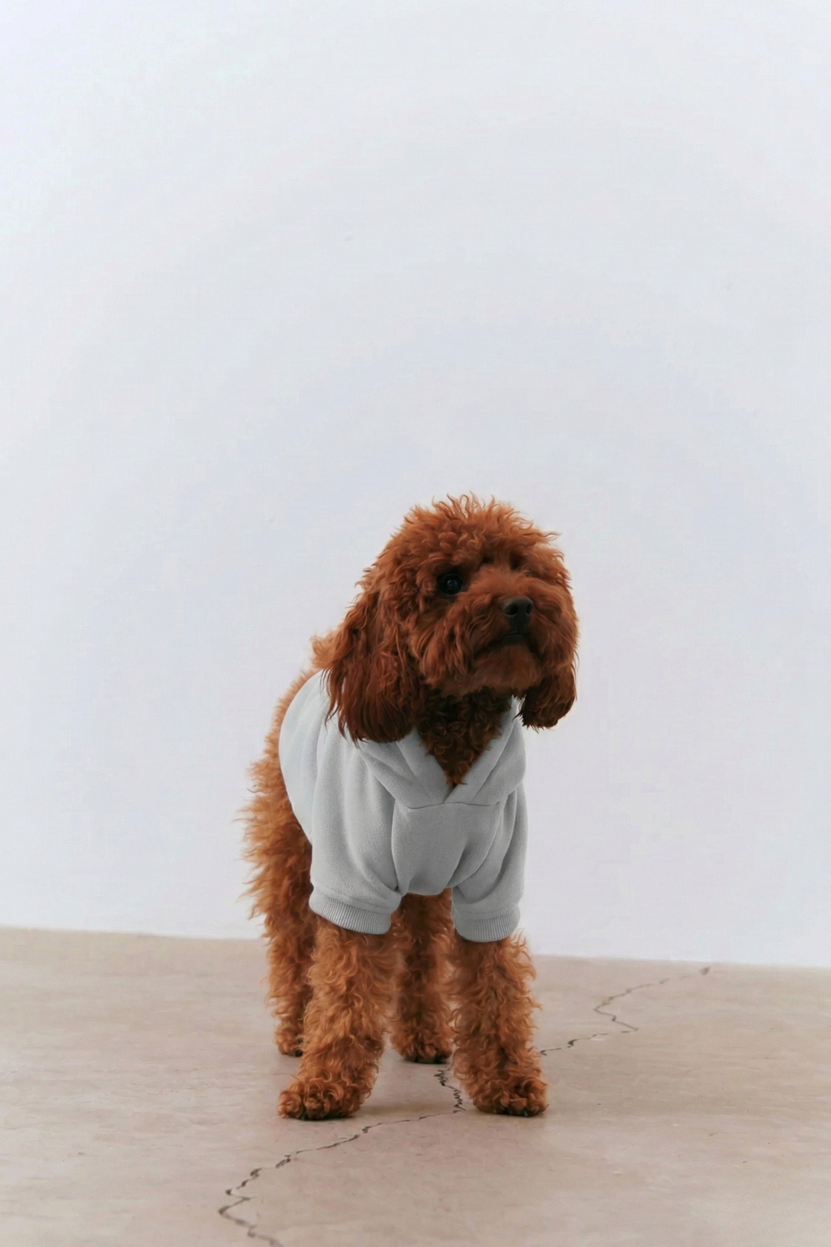 Bruno Cloud Kombin Hoodie - Stone Gray