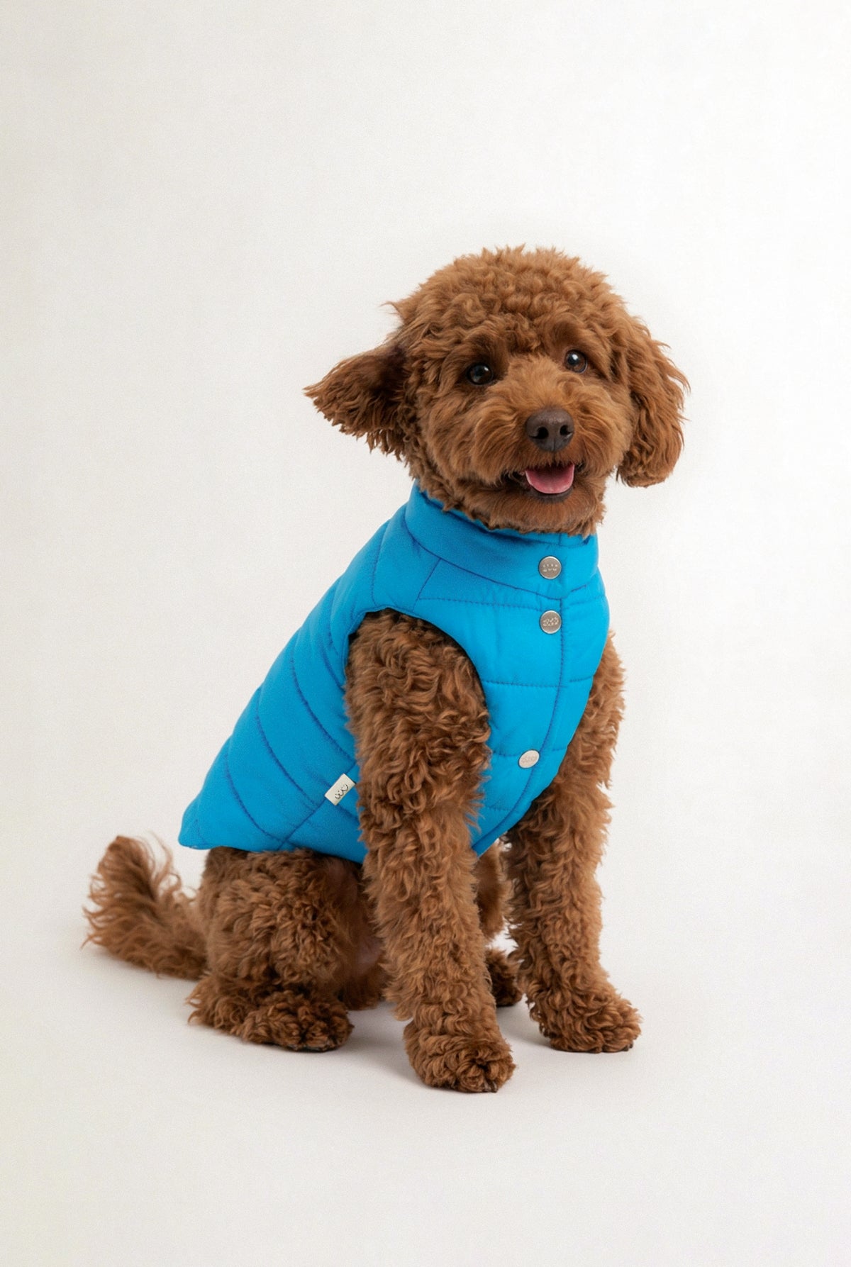 Bruno Classic Puffer Mont - Cloud Blue