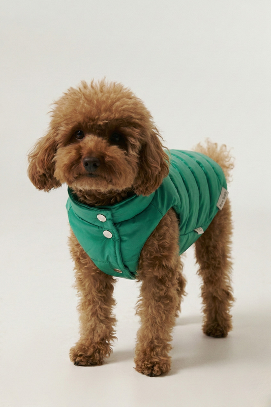 Puffer Vest - Green