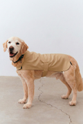 Bruno Classic Köpek Yağmurluk - Desert Camel