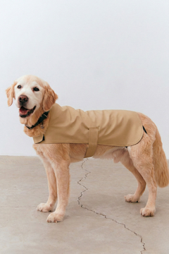 Bruno Classic Köpek Yağmurluk - Desert Camel