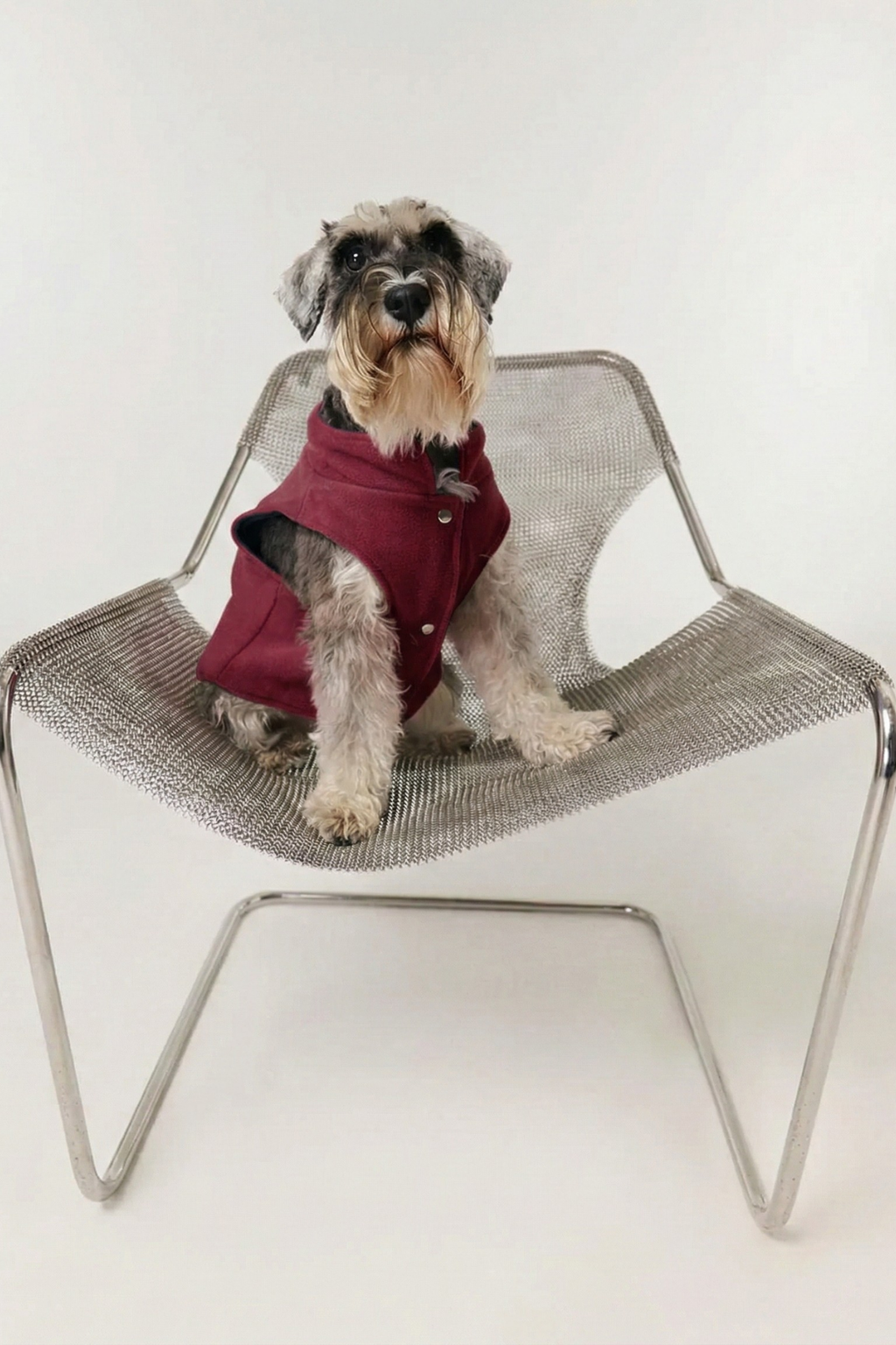 Bruno Cozy Köpek Polar Mont - Burgundy
