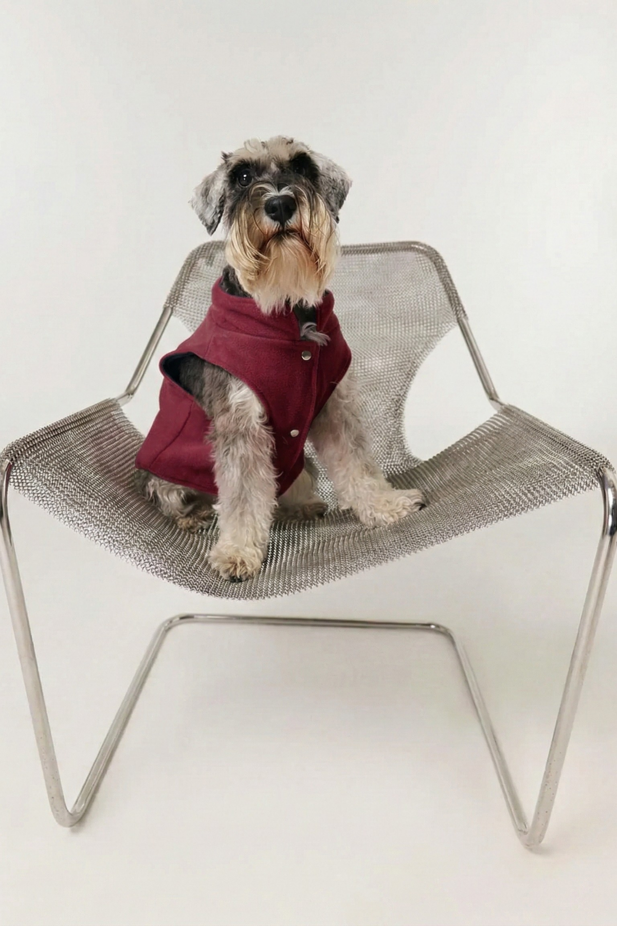 Bruno Cozy Köpek Polar Mont - Burgundy