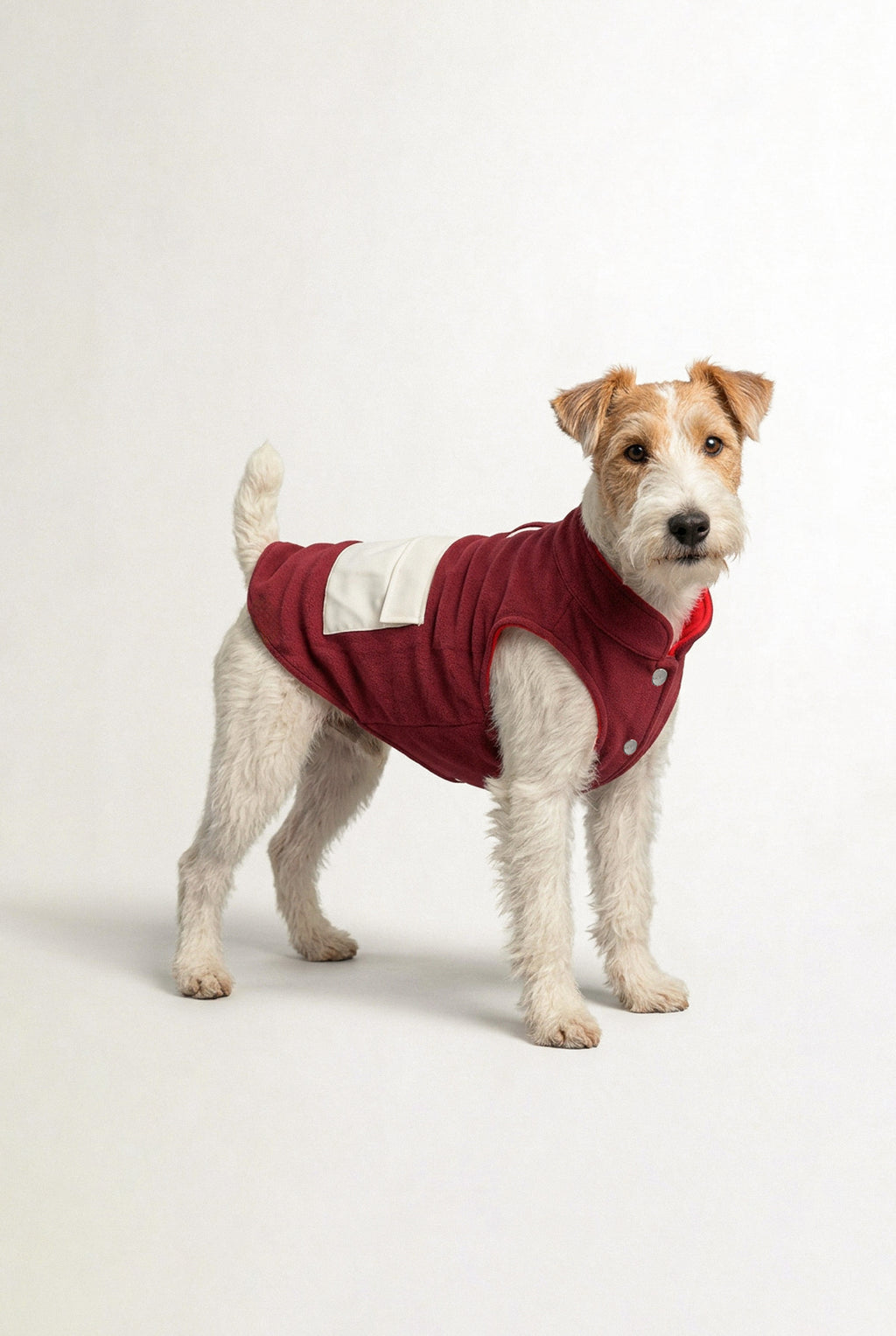 Bruno Cozy Köpek Polar Mont - Burgundy