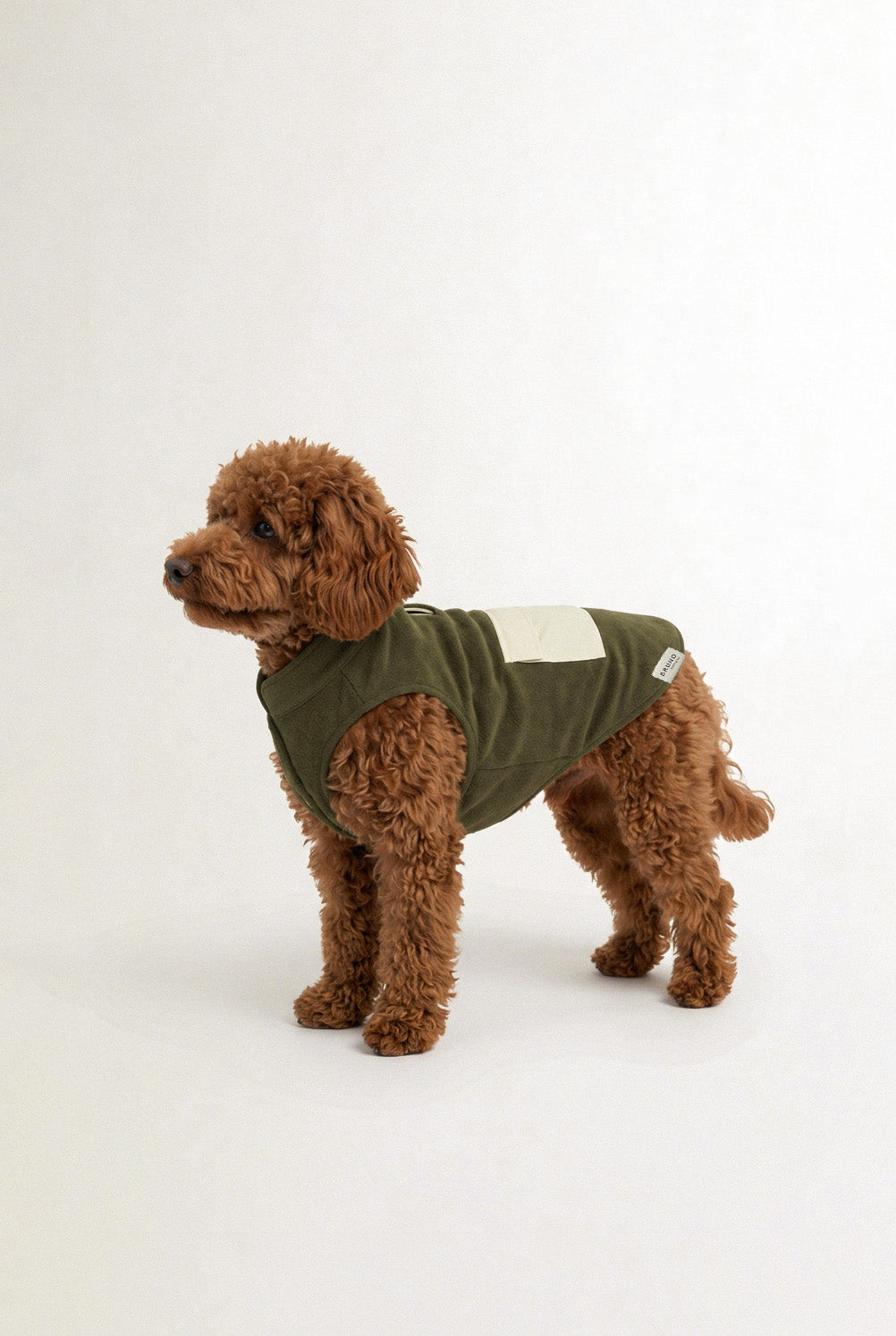 Bruno Cozy Köpek Polar Mont - Sage Green
