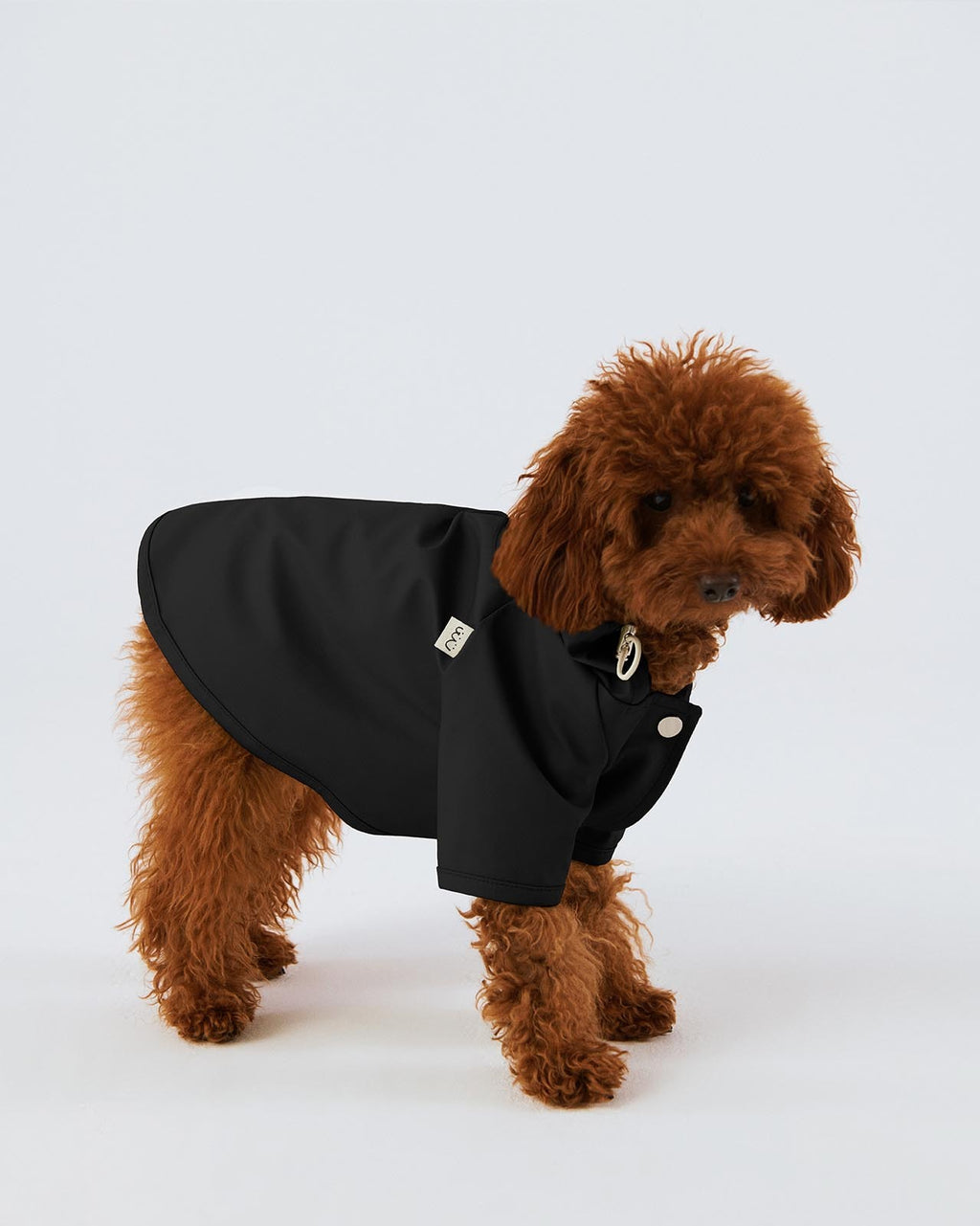 Bruno Signature Köpek Yağmurluk - Noir Black
