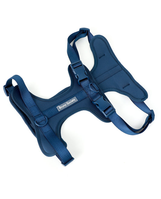 Harness - Ocean Blue