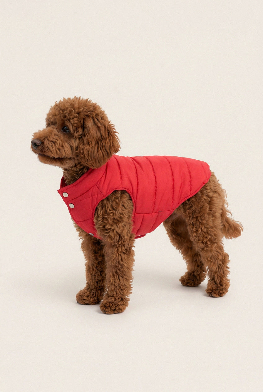 Bruno Classic Puffer Mont - Cherry Red