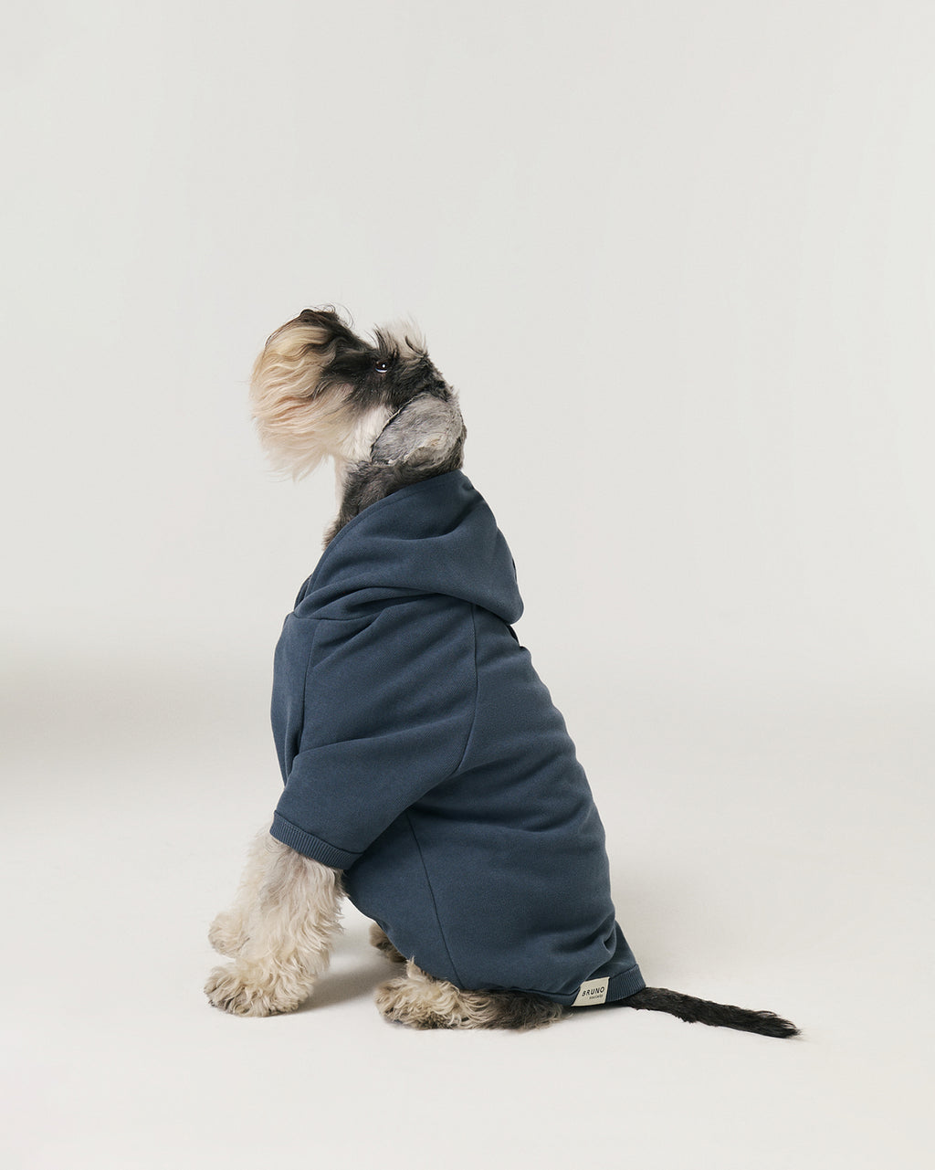 Hoodie - Horizon Blue