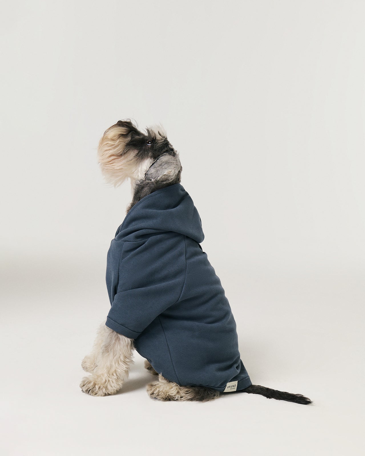 Bruno Cloud Köpek Hoodie - Indigo Night