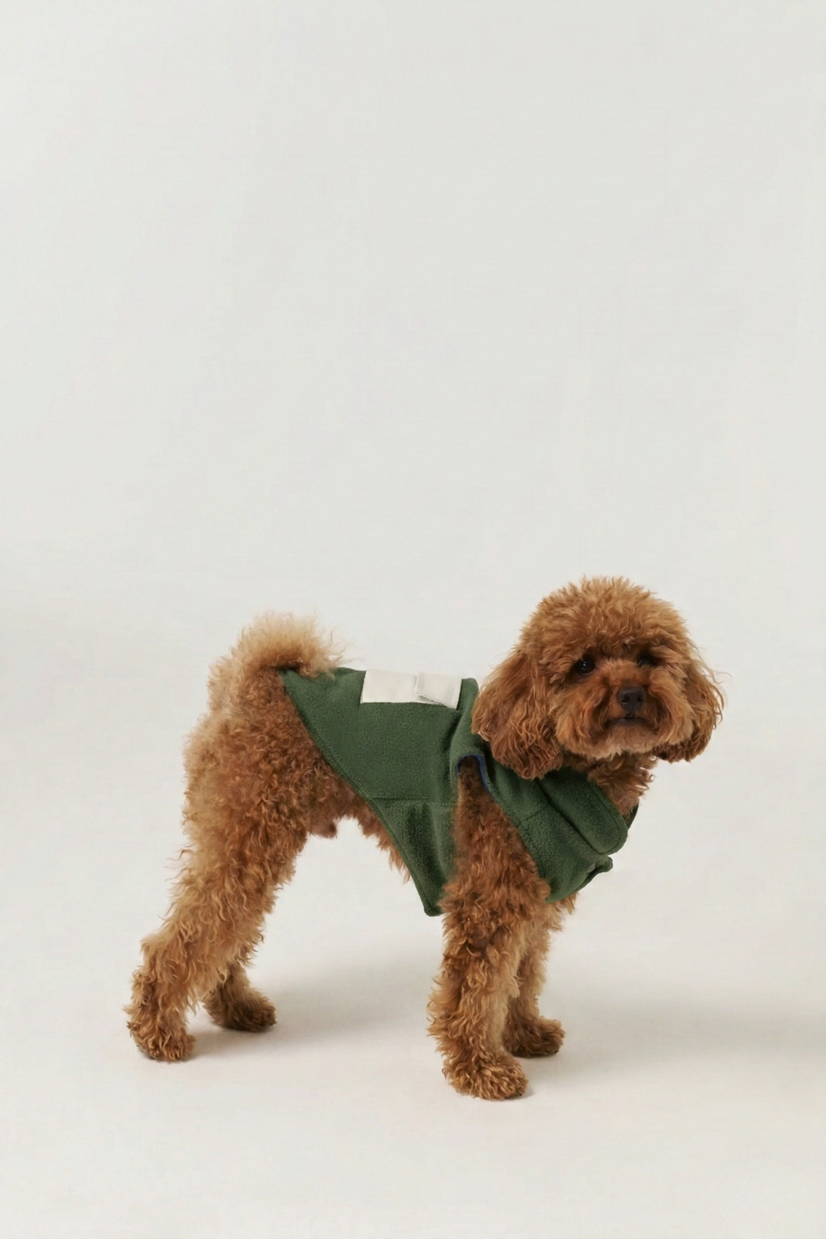 Bruno Cozy Köpek Polar Mont - Sage Green