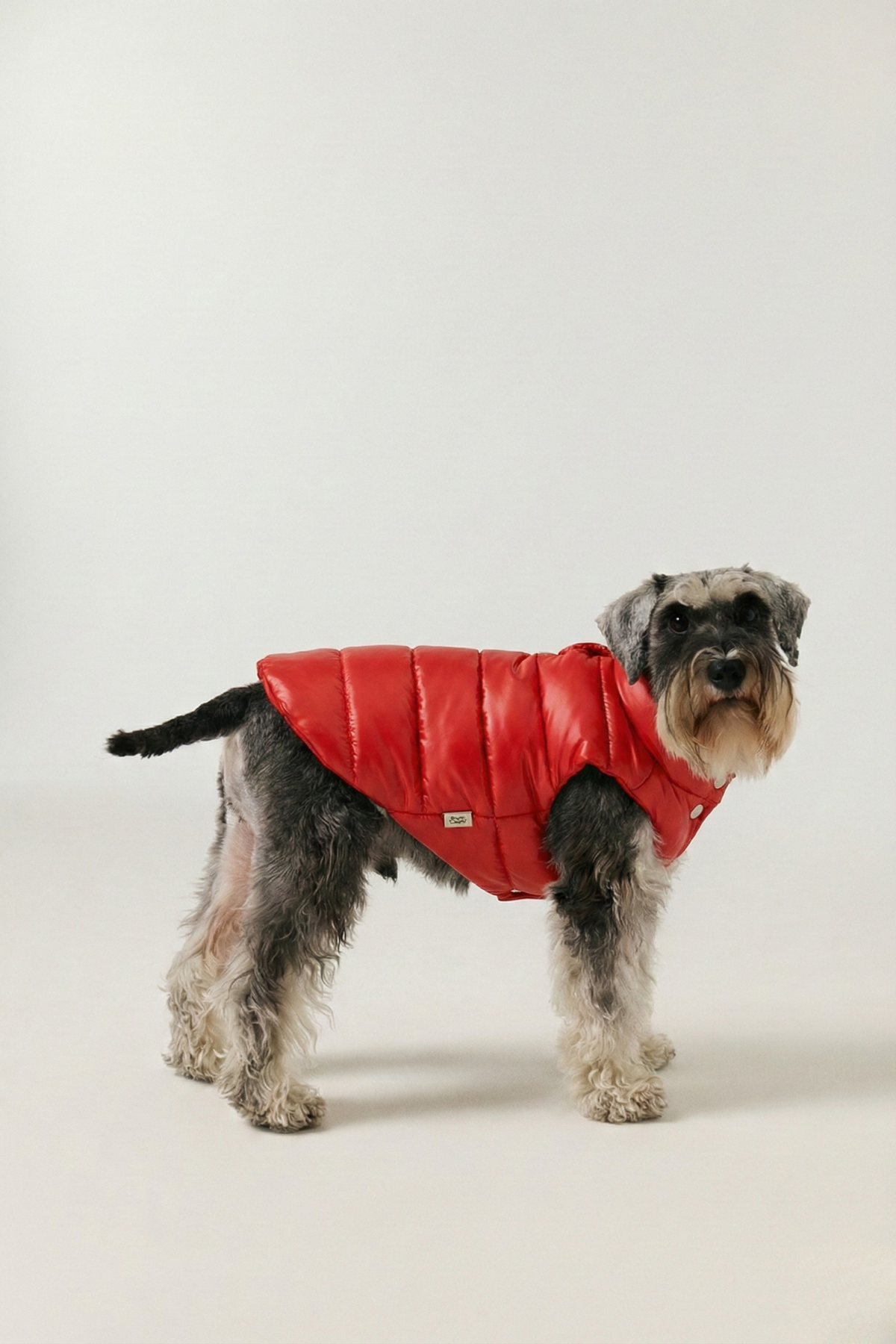 Bruno Classic Puffer Mont - Cherry Red