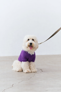 Bruno Flow Köpek Hoodie - Royal Purple