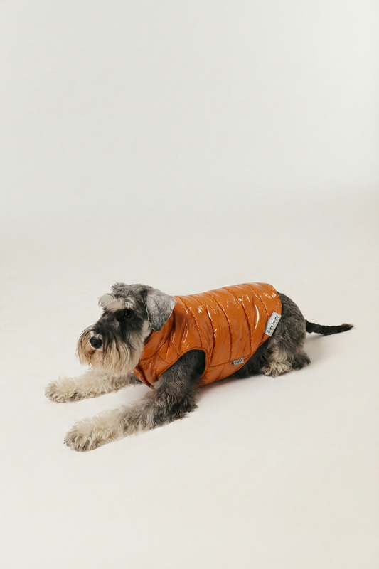 Puffer Vest - Sunny Yellow