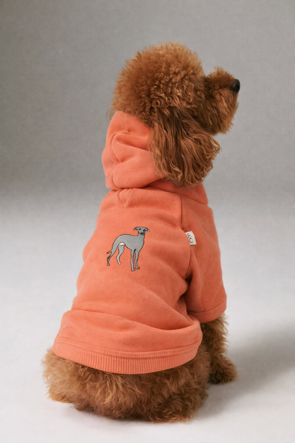 Bruno Flow Köpek Hoodie - Sunset Orange