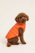 Bruno Classic Puffer Mont - Burnt Orange