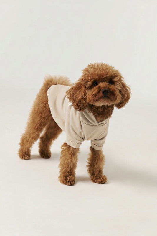 Society Dog Hoodie - Beige