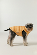 Bruno Classic Puffer Mont - Honey Yellow
