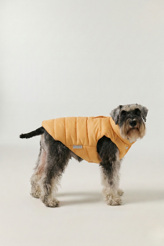 Puffer Vest - Sunny Yellow