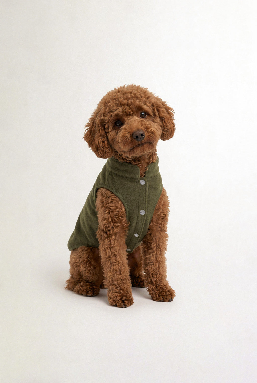 Bruno Cozy Köpek Polar Mont - Sage Green