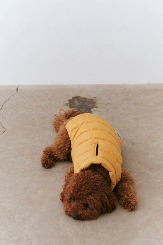 Puffer Vest - Sunny Yellow