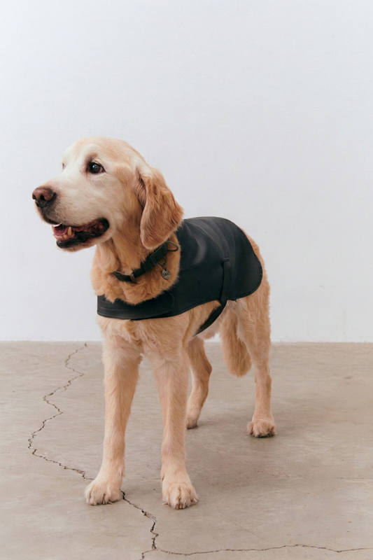 Strapped Raincoat - Snow White