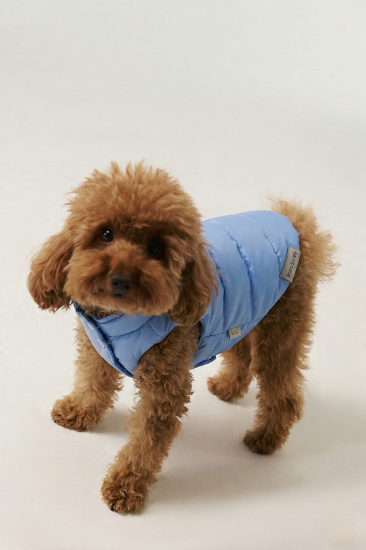 Puffer Vest - Baby Blue