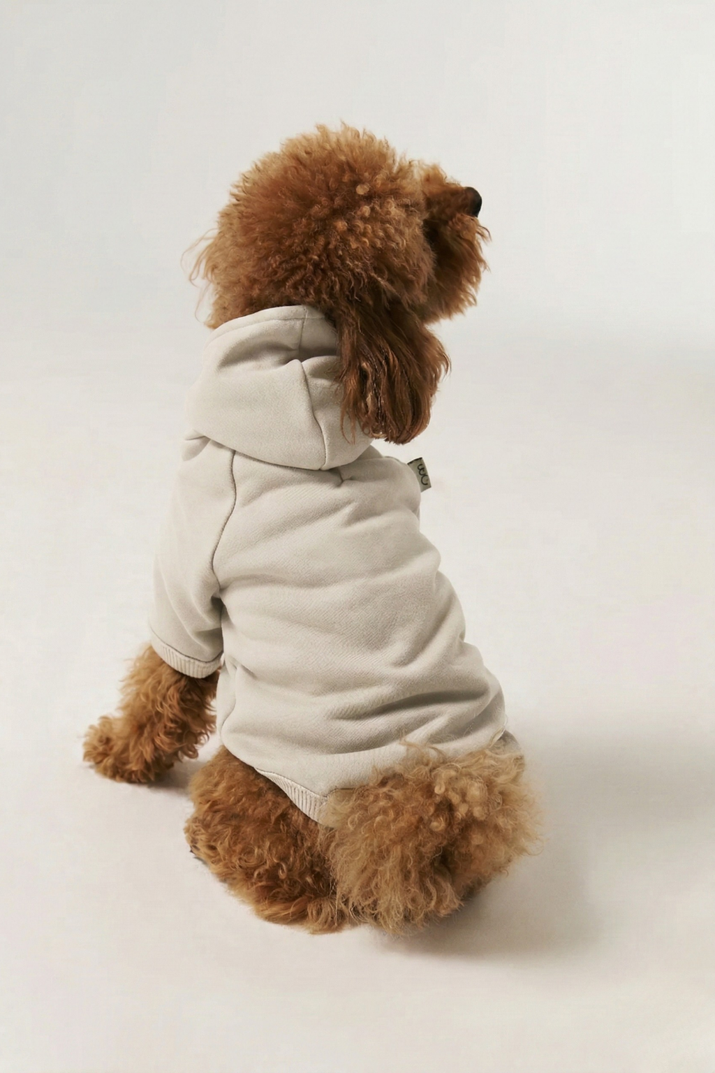 Society Dog Hoodie - Beige