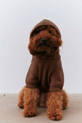 Bruno Cloud Köpek Hoodie - Cocoa Brown