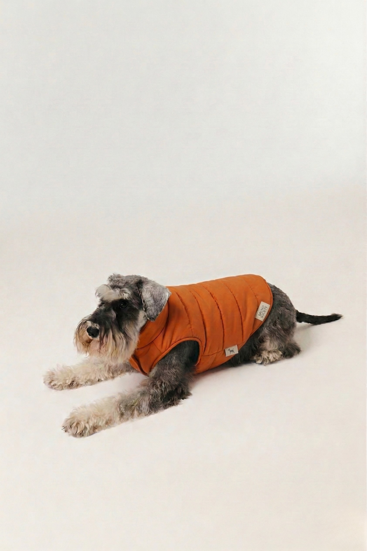 Puffer Vest - Sunny Yellow