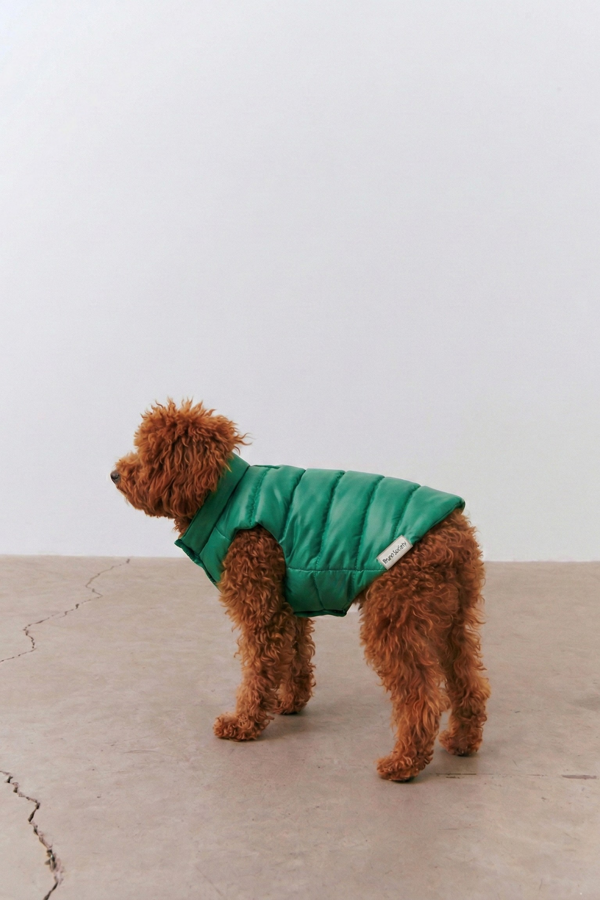 Bruno Classic Puffer Mont - Forest Green