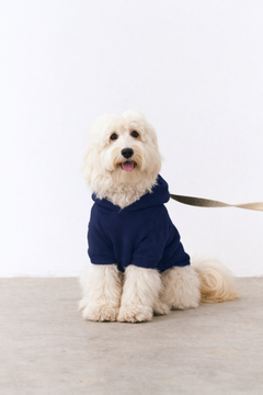 Bruno Flow Köpek Hoodie - Indigo Night