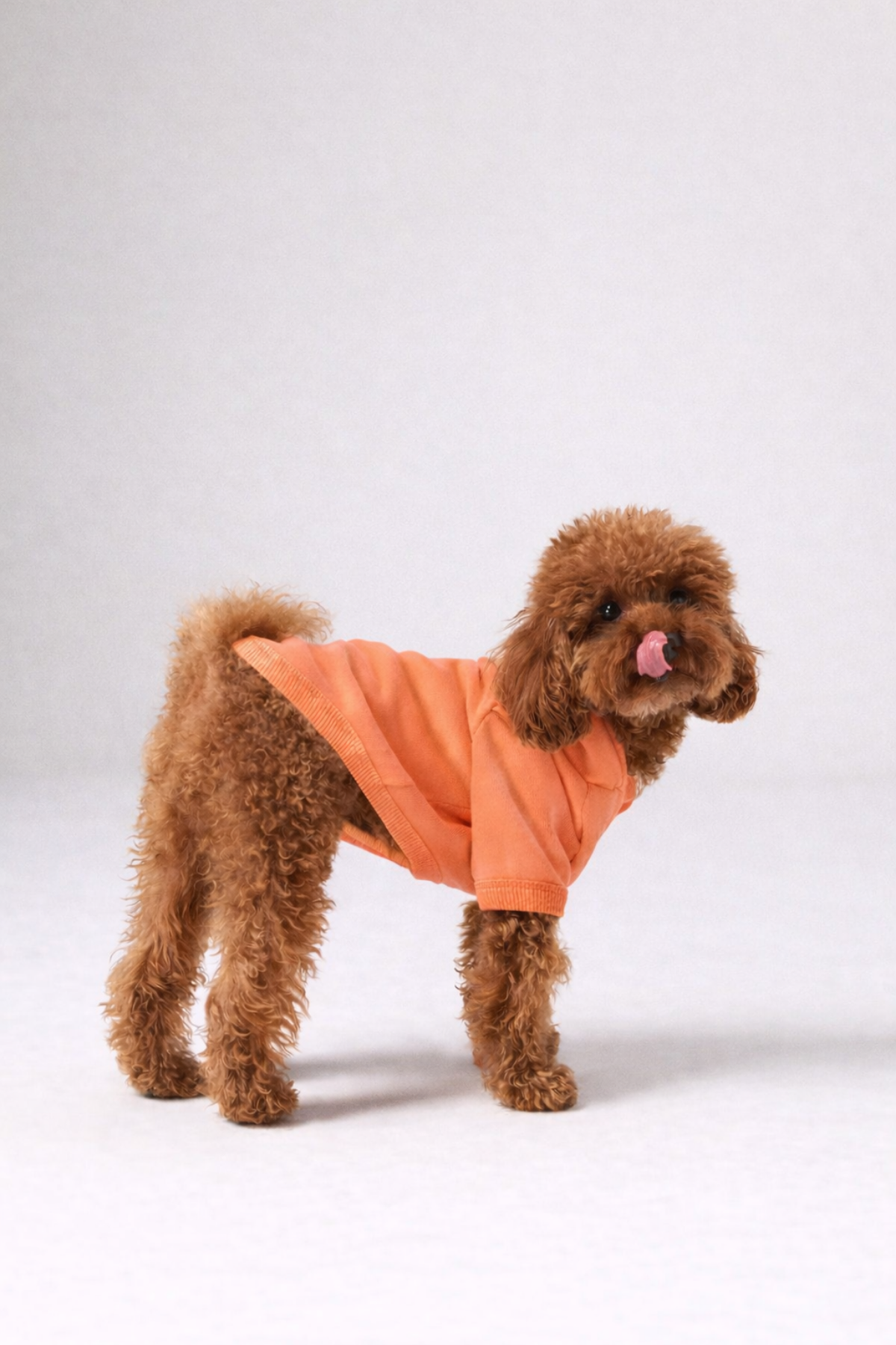 Bruno Flow Köpek Hoodie - Sunset Orange