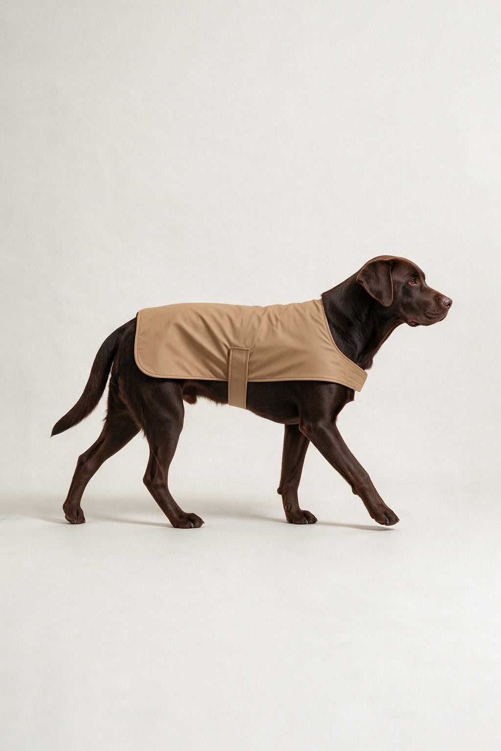 Bruno Classic Köpek Yağmurluk - Desert Camel