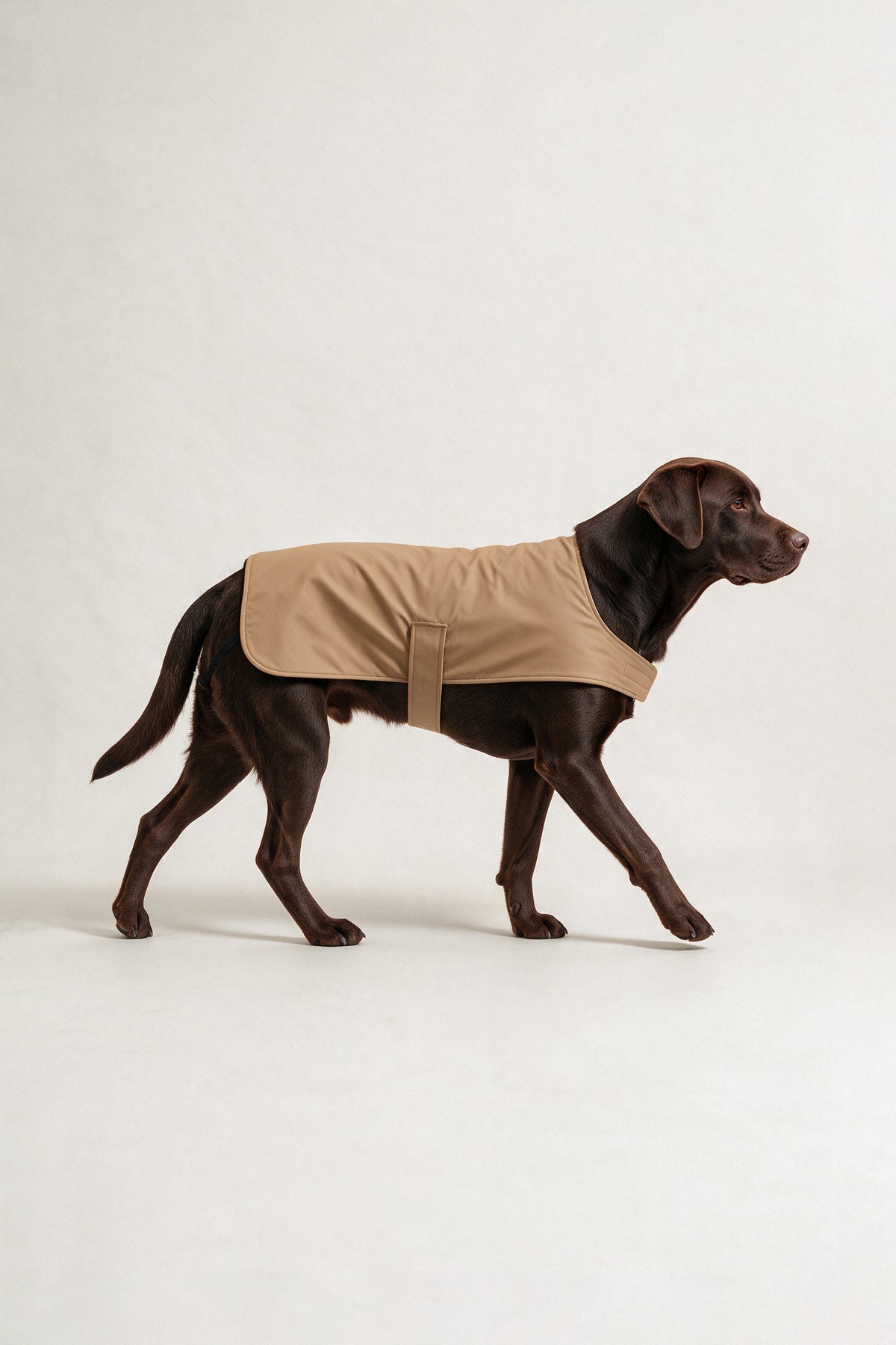Strapped Raincoat - Snow White